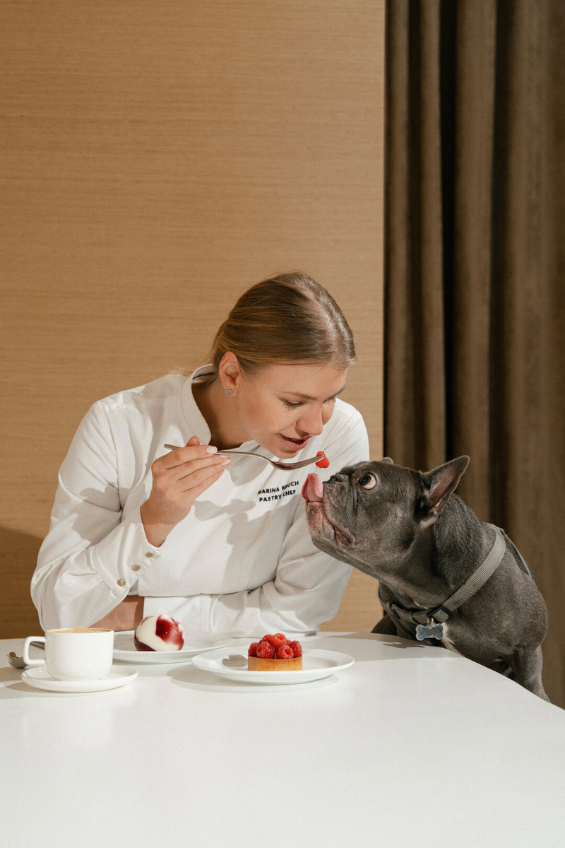    И ты, Брют, тоже! Кондитер Марина Круч в догфрендли-кафе «Круч» кормит с вилочки Брюта, своего французского бульдога Фото: Предоставлено пресс-службой заведения