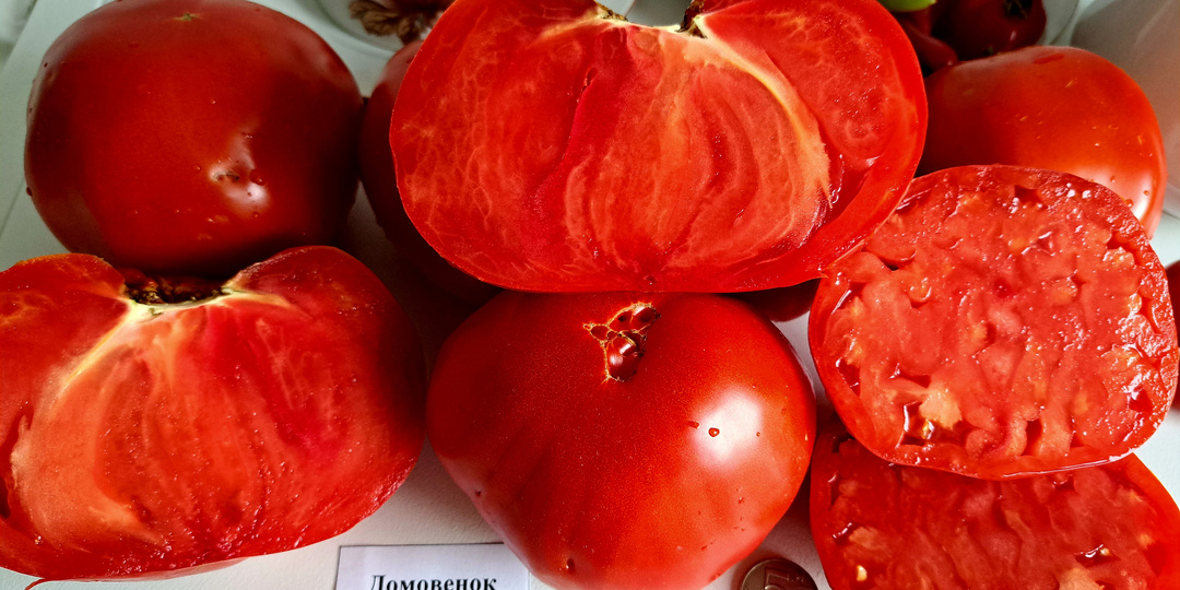 КАТАЛОГ томатов на 2026 г. №3