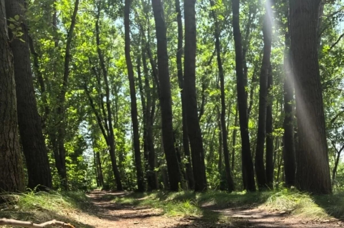    Молодые экологи из России получили гранты на 11,6 млн рублей