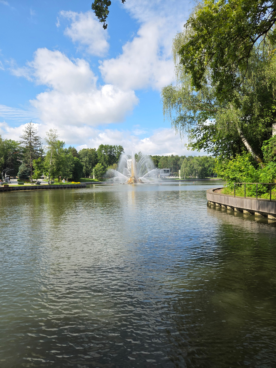 Воспоминания о лете