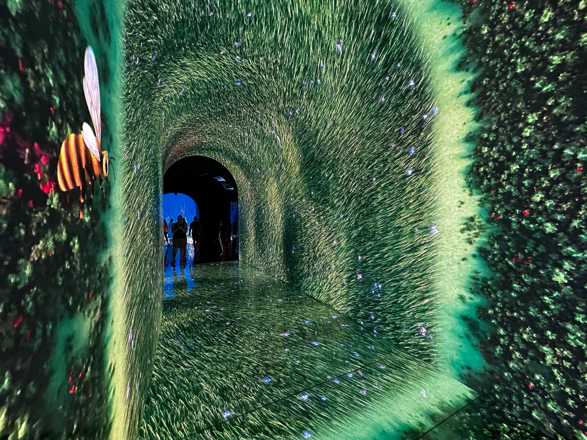 А вот такую штуку у нас в парке на днях открыли) 