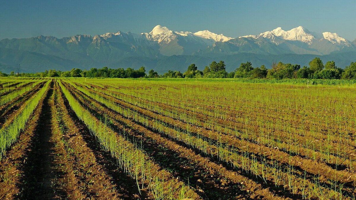    Фото: ИрИнформ