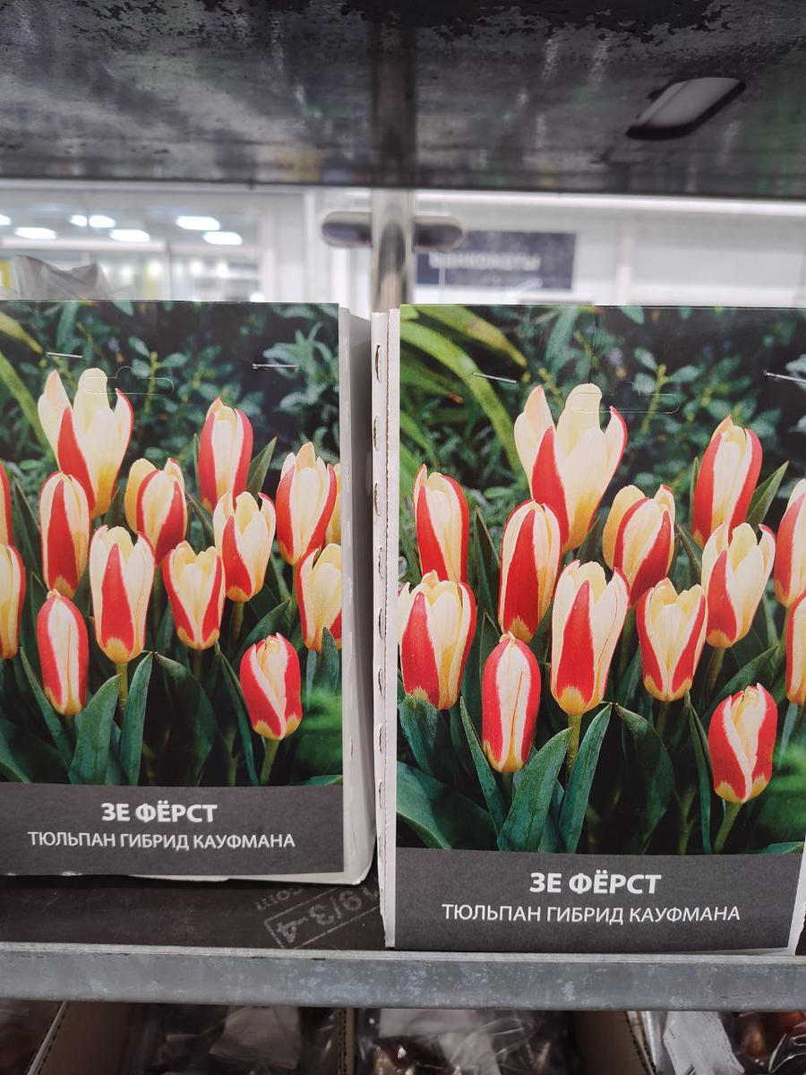 Фото автора сделано в магазине