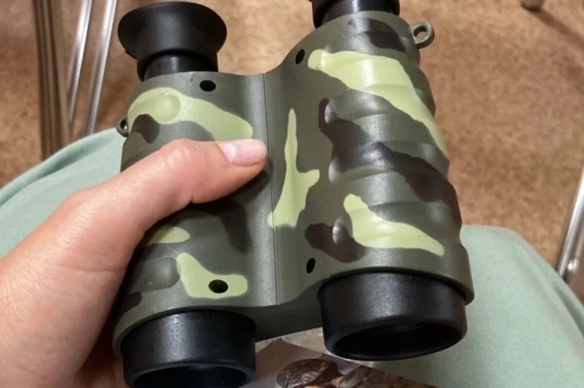    Жителя Барнаула будут судить за сбор личной информации об экс-жене