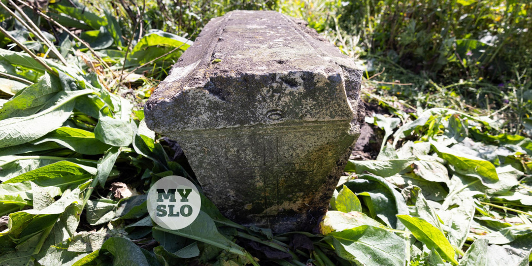 На старинном кладбище в Тульской области найден саркофаг XIX века