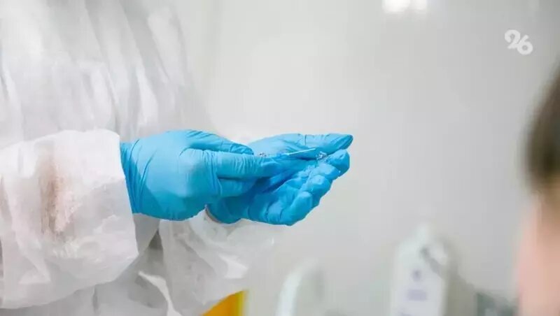      Фото: ИА «Победа26»