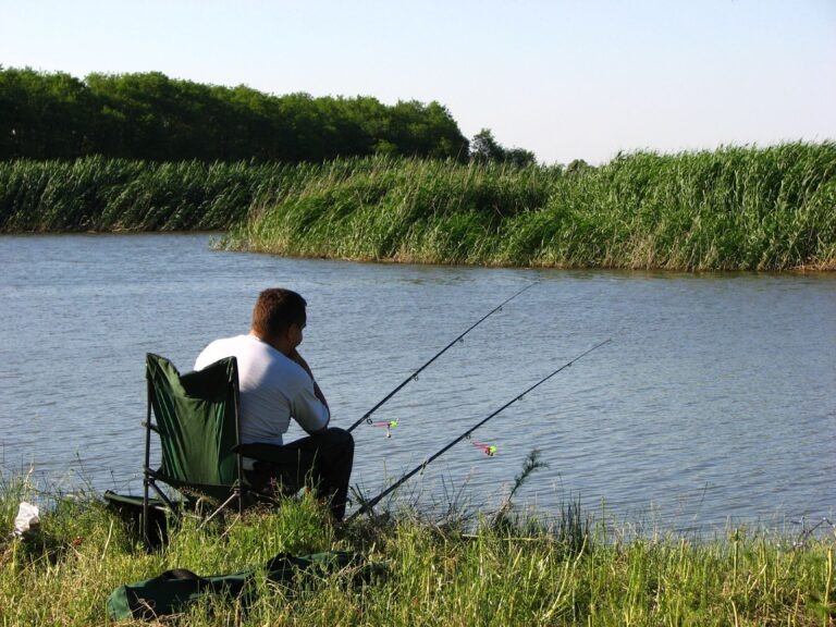    Фото: wiki commons/skhakirov/CC BY-SA 2.0 Мария Спиридонова