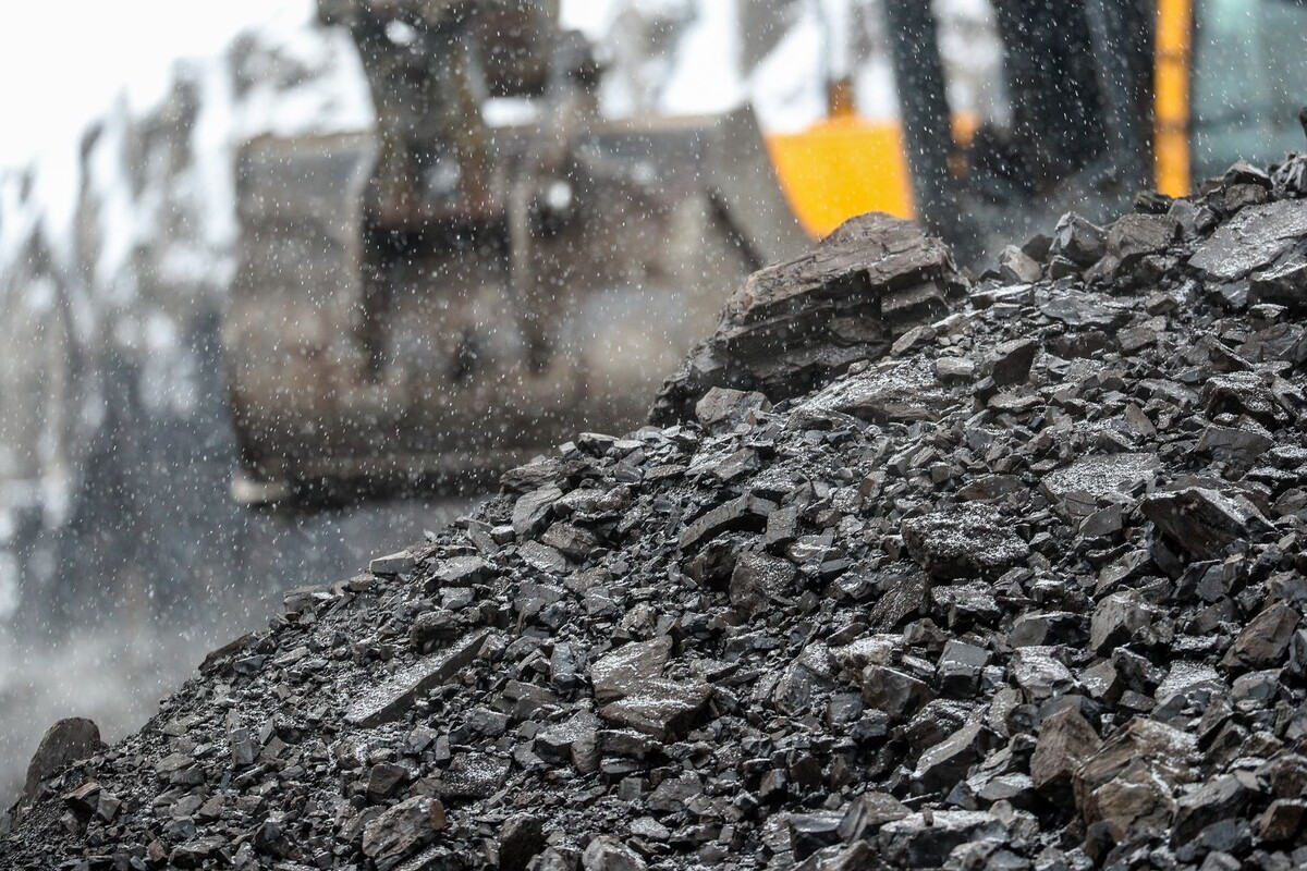     / Источник: © Global Look Press