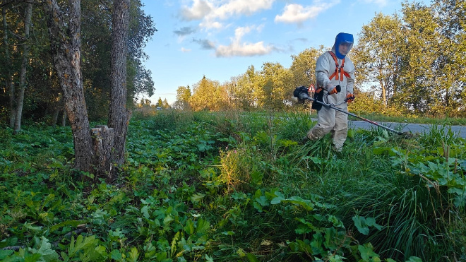 Фото: Всероссийское общество охраны природы (СПб и ЛО)