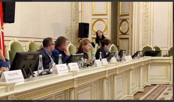 ЗакС Петербурга, нулевые слушания бюджета Петербурга. Фото: скрин из канала «Ирина Иванова, депутат ЗакС СПб»