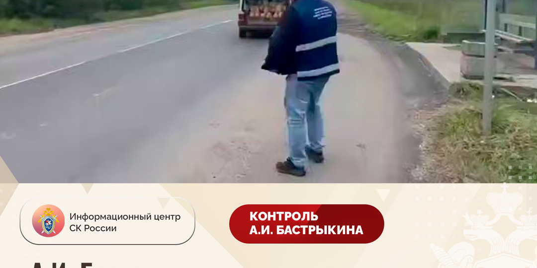 А.И. Бастрыкин поручил доложить по уголовному делу о противоправных действиях мужчины в п. Металлострой г. Санкт-Петербурга