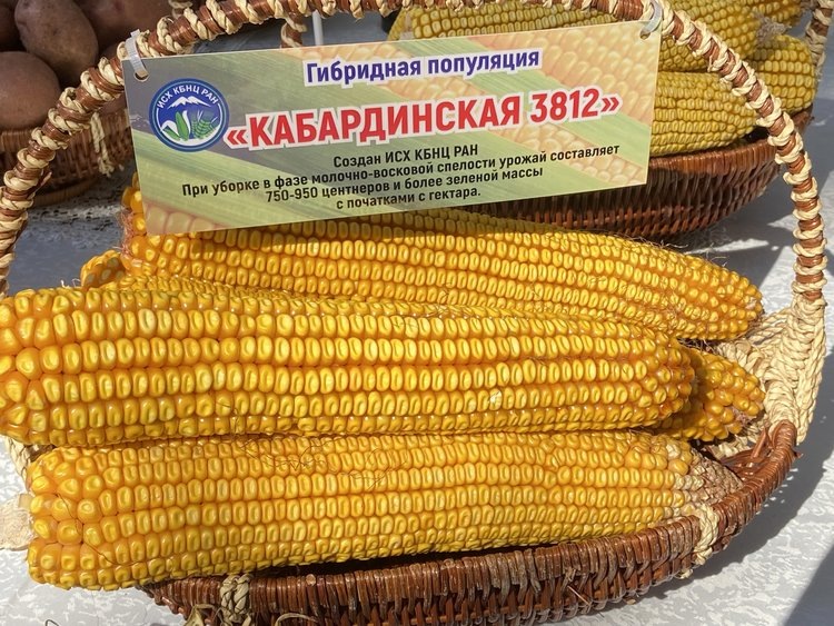    Фото: Минсельхоз КБР