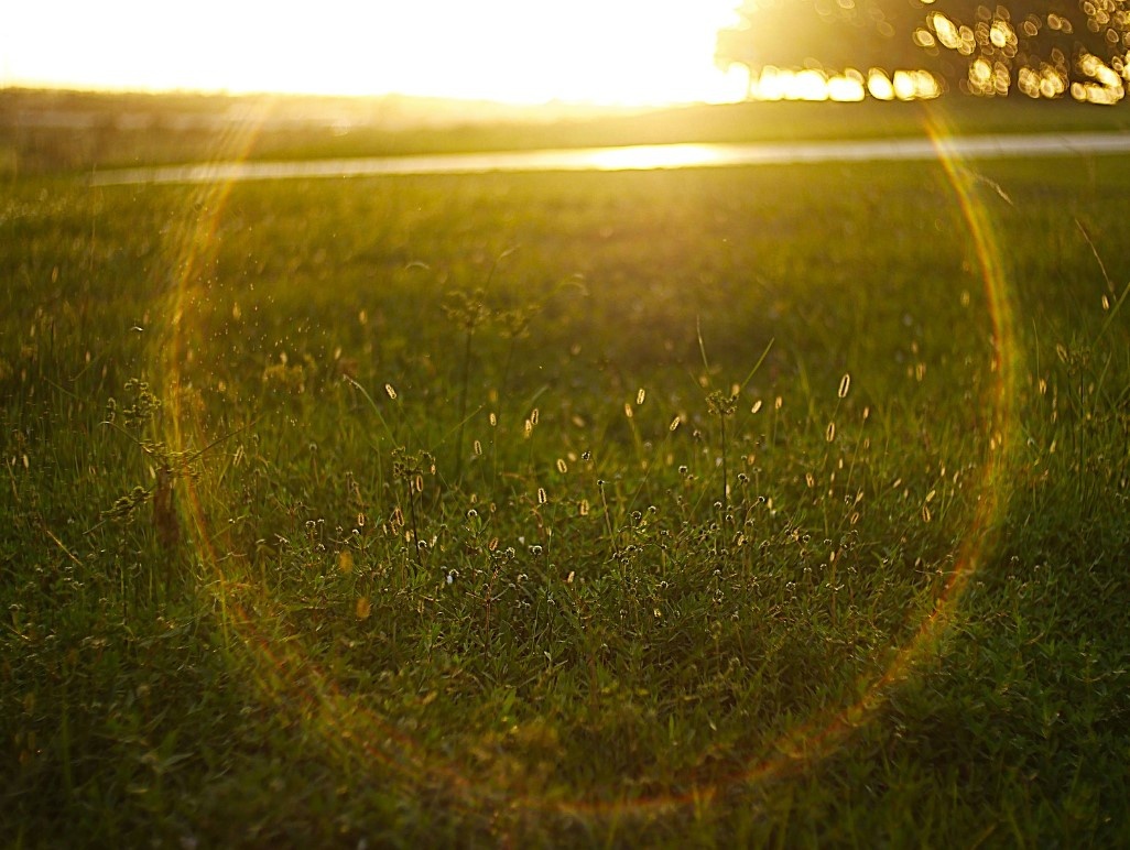    Фотошоп? Нет, винтажные оптические искажения! / Фото: flickr.com/Aloy Anderson