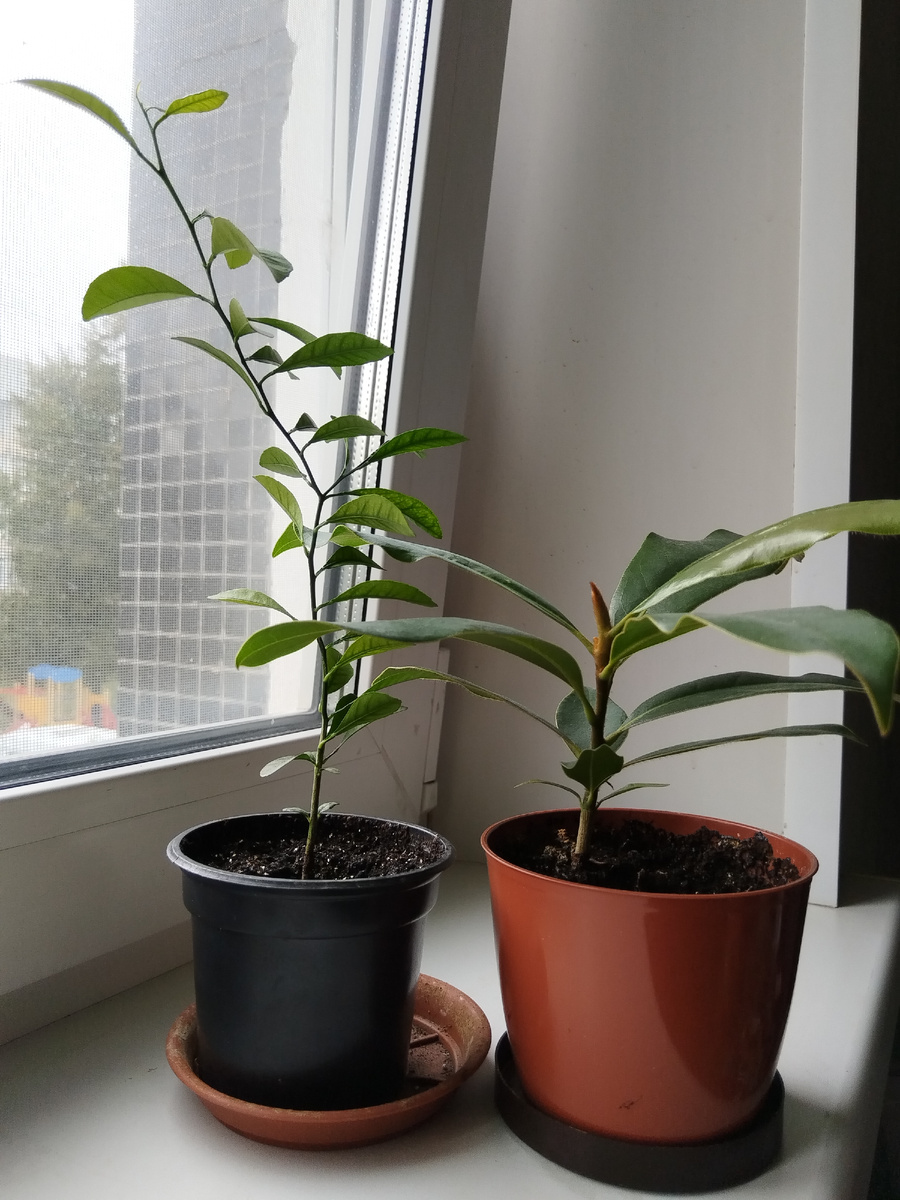 09 сентября 2025- стало