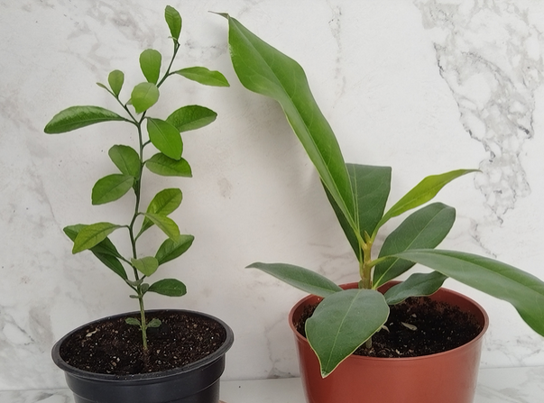 14 июля 2025- было