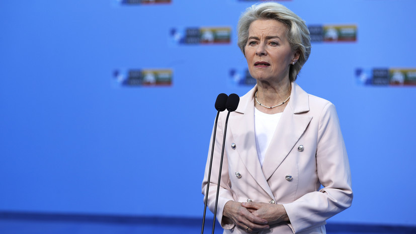    И вновь "стальной дикобраз". Фон дер Ляйен рассказала о трёх основных целях "коалиции желающих" на Украине
