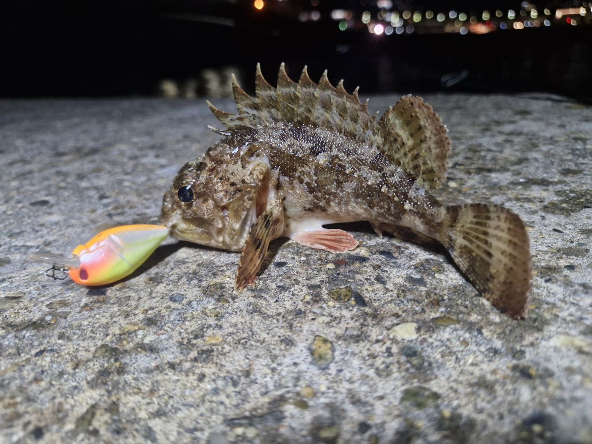 Кренки на море