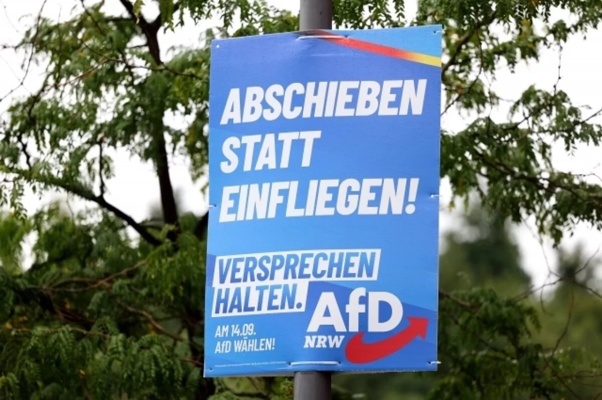    Welt: число погибших депутатов перед выборами в Германии увеличилось до 16