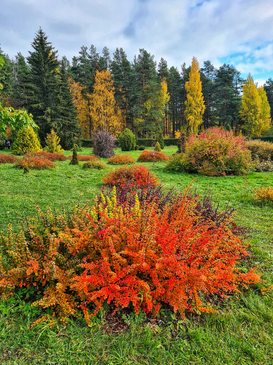 Петрозаводск. Ботсад ПетрГУ.