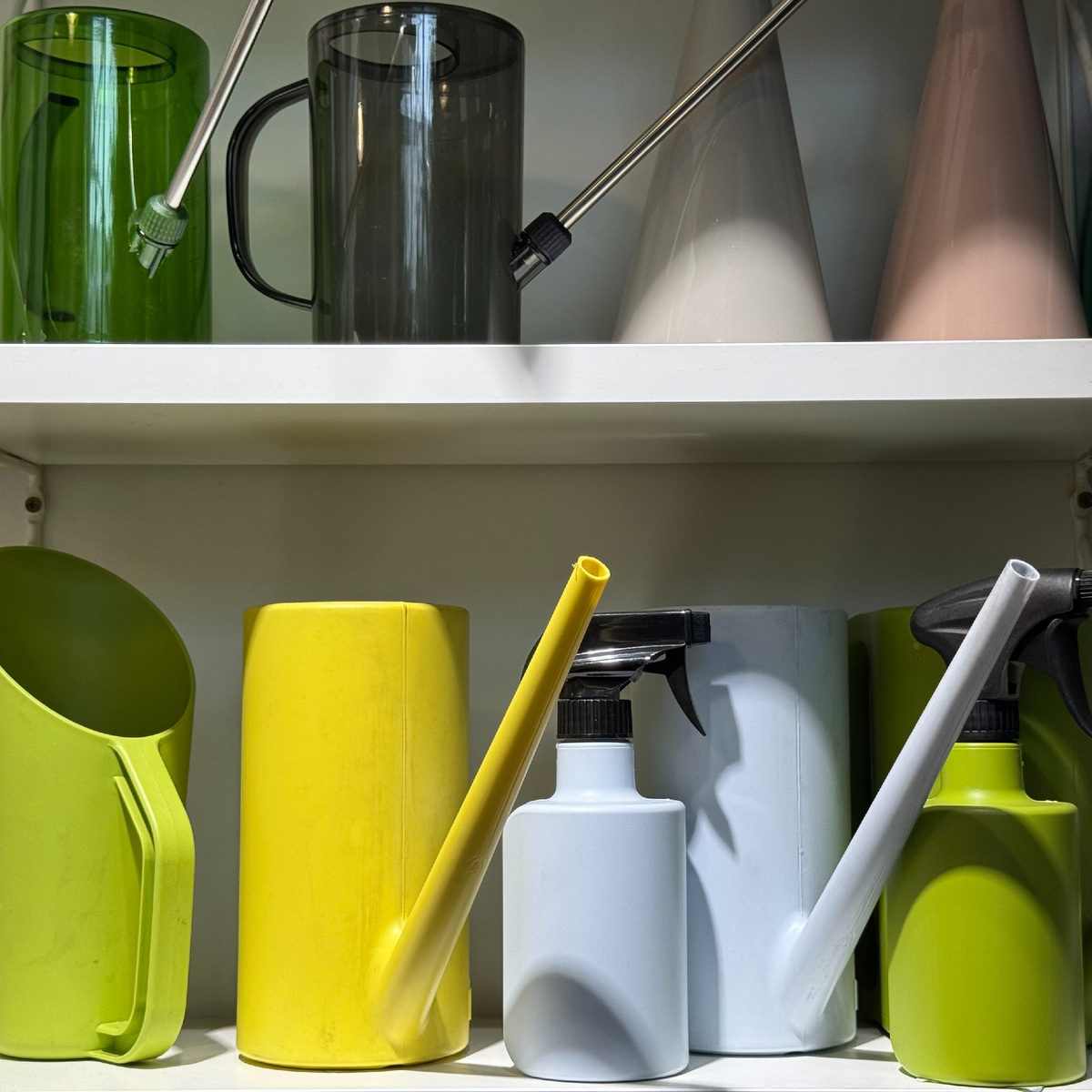 Как поливать растения осенью