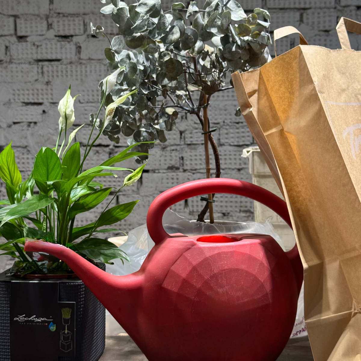 Подготовка растений к холодному сезону