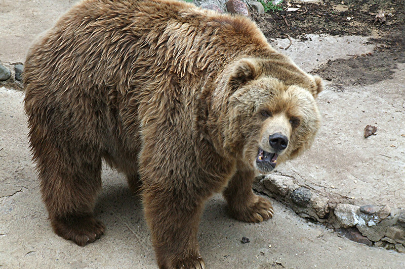    Victor Lisitsyn/Global Look Press