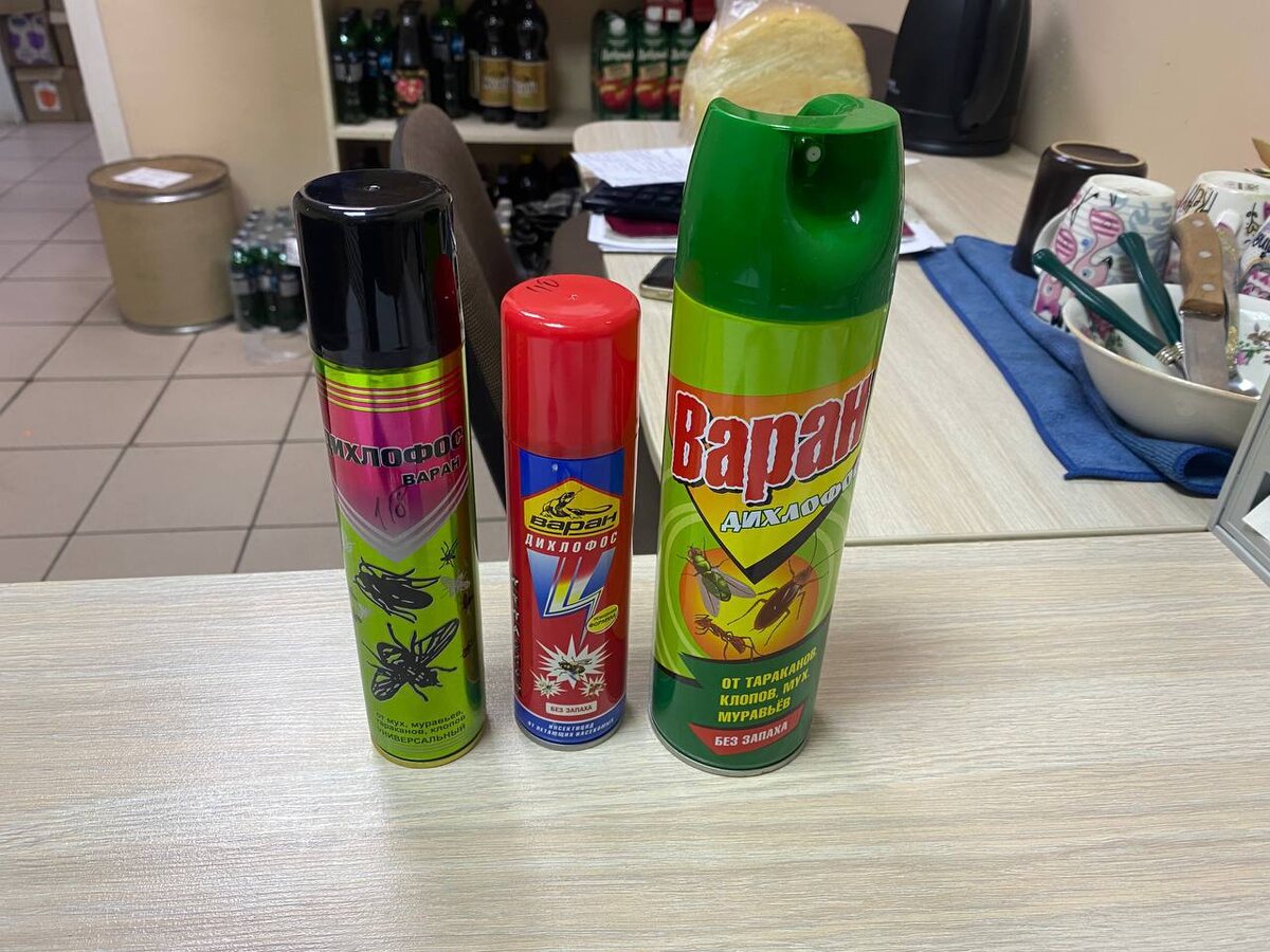    Фото: пресс-служба ГСУ СК РФ по Красноярскому краю и Республике Хакасия