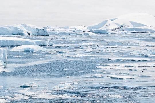    США призвали к решительным мерам, чтобы не пустить Россию к ресурсам Антарктики