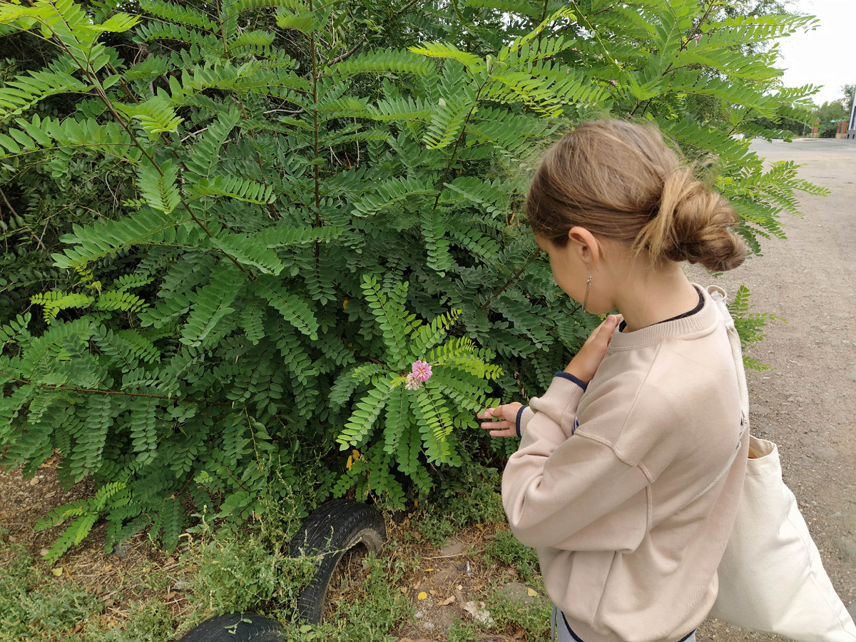 Ещё не скоро распустятся новые цветы...