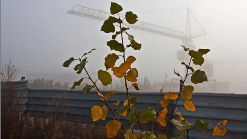     Строительный кран. Михаил Хаустов