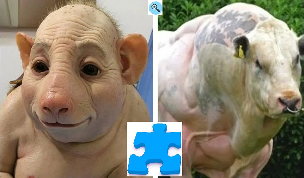 Коллаж от автора