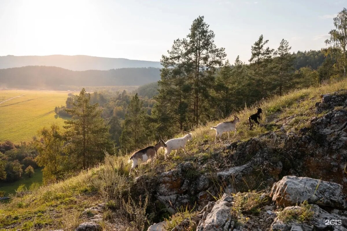 ФОТО ИЗ ОТКРЫТЫХ ИСТОЧНИКОВ