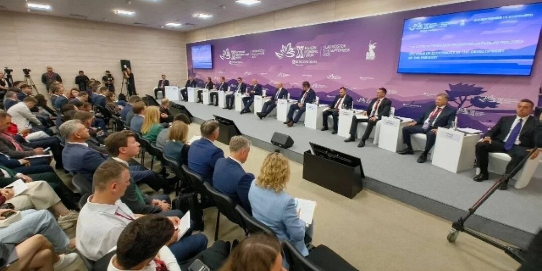 На ВЭФ-2025 обсудили нехватку энергии и газа в Хабаровском крае