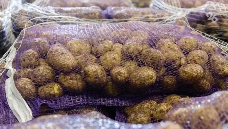      Фото: ИА «Победа26»