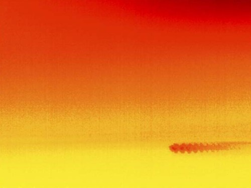  Следы семян на инфракрасных тепловых снимках