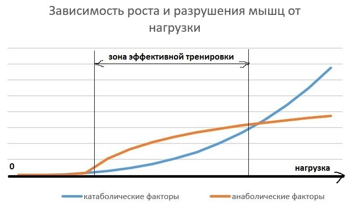 Объем тренировочной нагрузки