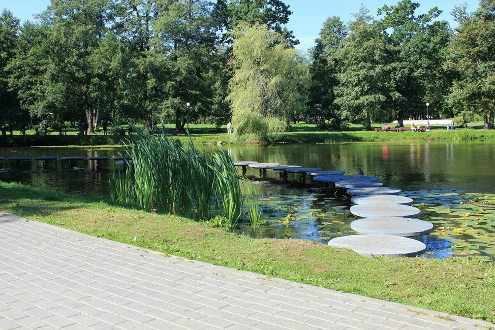 Где искать рыбу на городском пруде