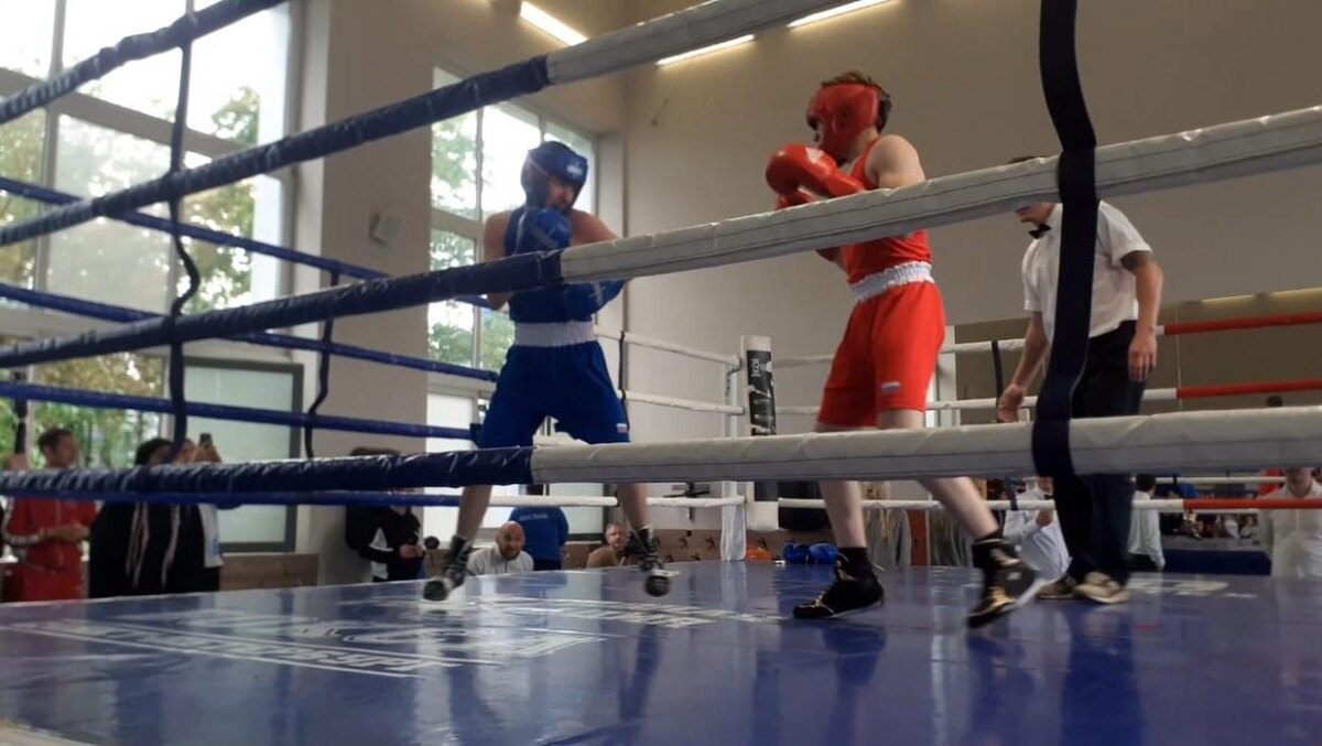 Спортсмены Псковской области выиграли семь медалей на Кубке федерации шахбокса России
Фото: предоставил Дмитрий Зубарев