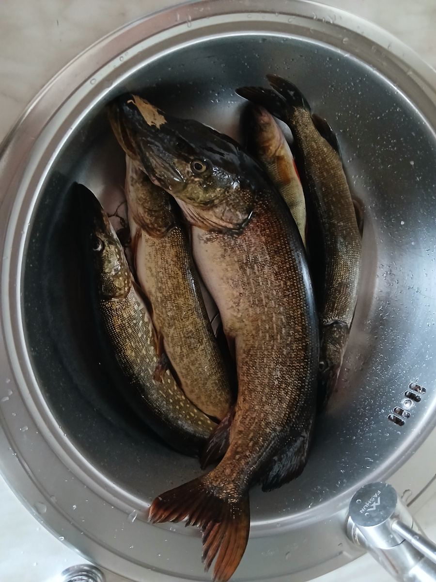 Когда попал на жор.