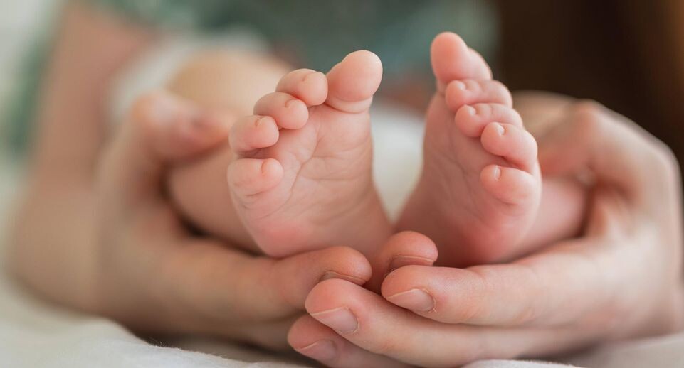    IMAGO/Zoonar.com/Iuliia Zavalish / www.globallookpress.com