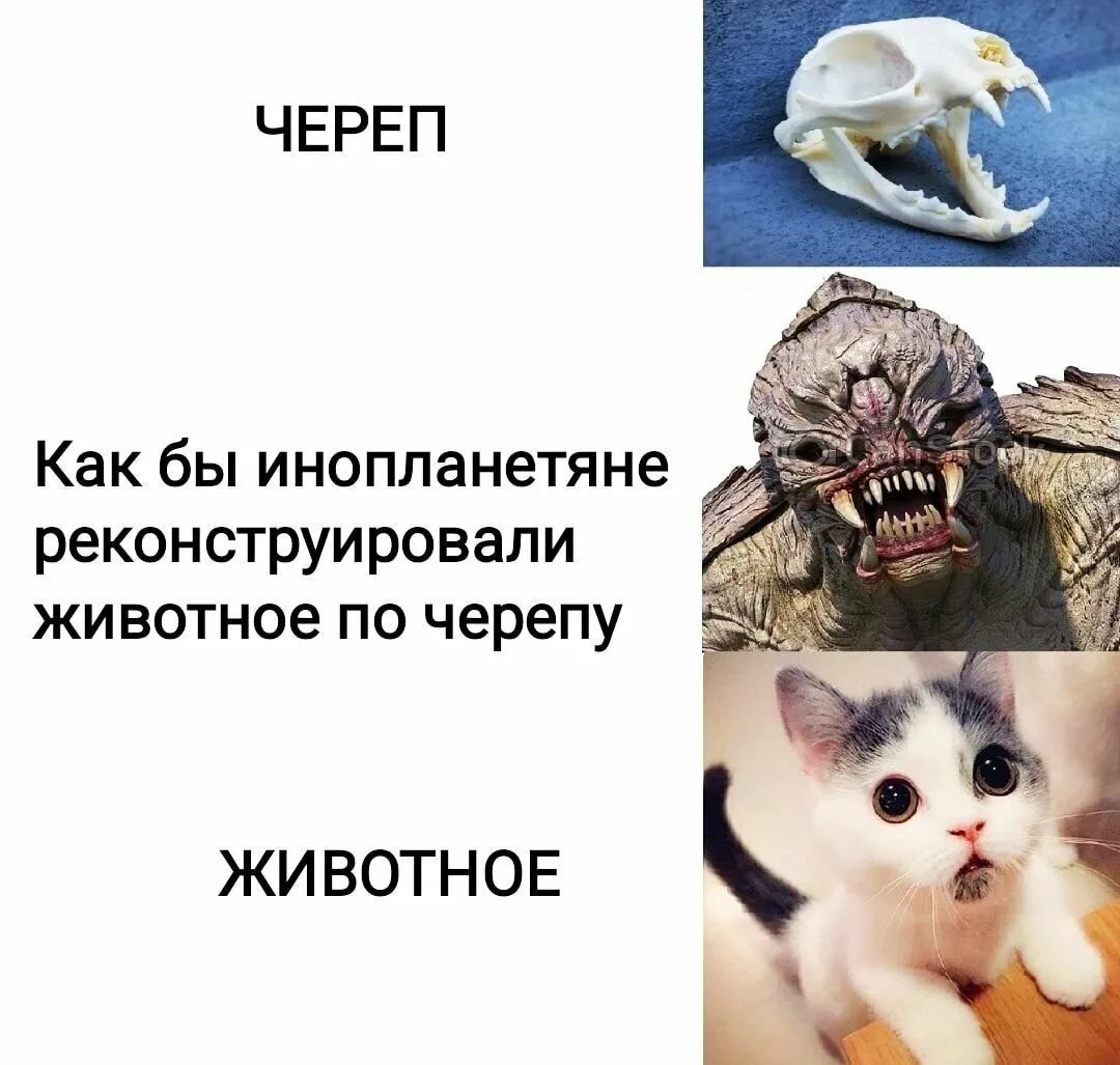 источник Яндекс-картинки