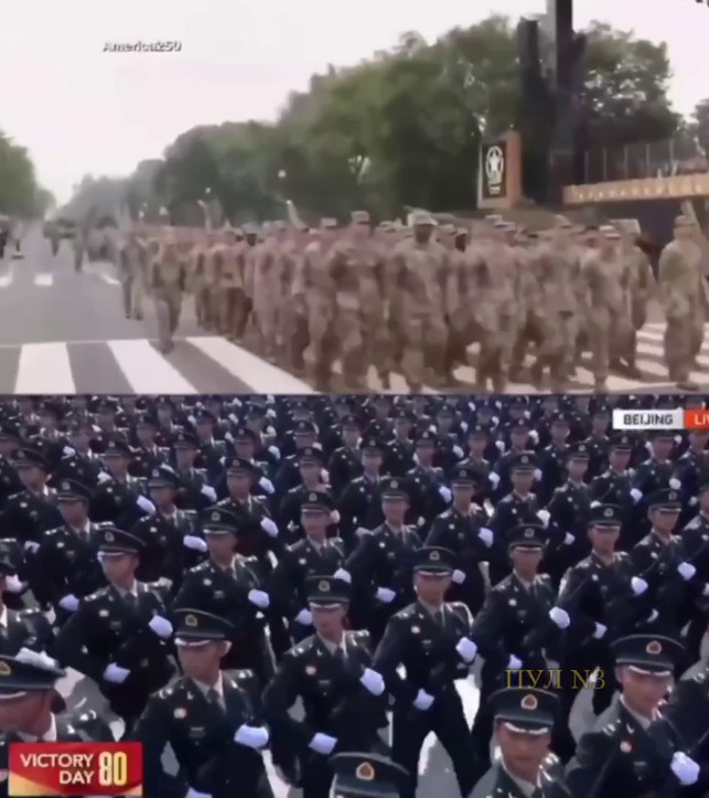 Кадр видео. Ссылка ниже