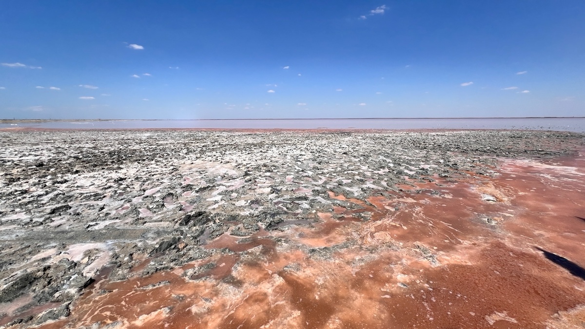 фото автора канала