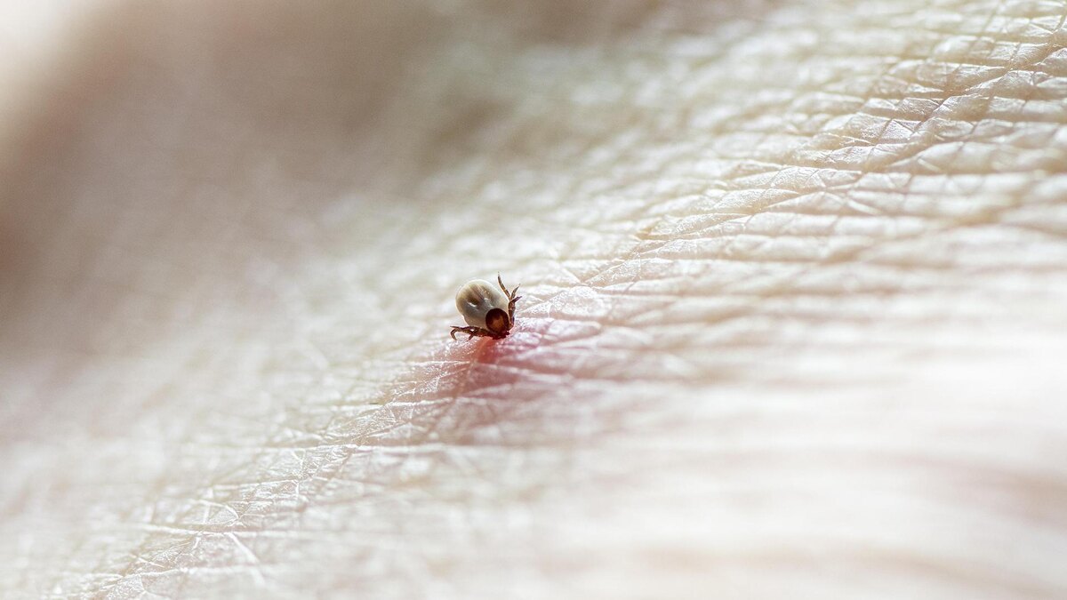    Фото: Robert Haasmann/globallookpress.com