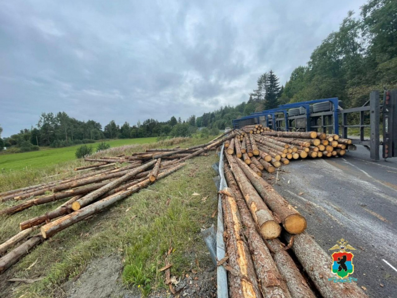    Упавший лесовоз перекрыл движение по трассе в КарелииМВД Карелии