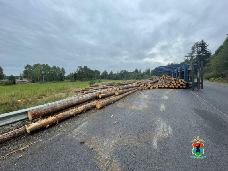    Упавший лесовоз перекрыл движение по трассе в КарелииМВД Карелии