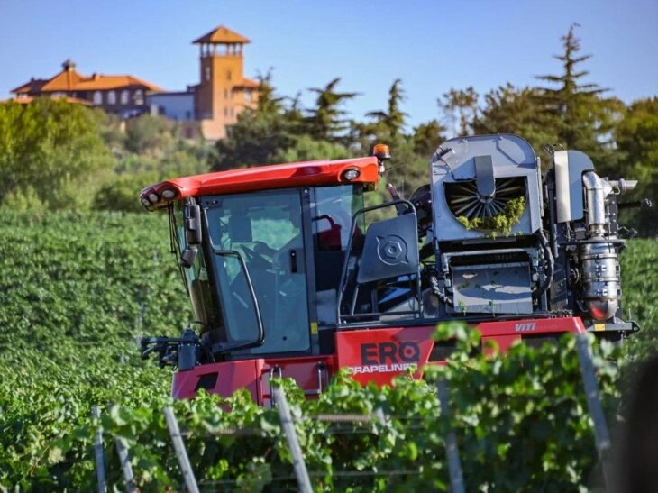     Уборка винограда в агрозоне Севастополя. Источник: t.me/depcx.