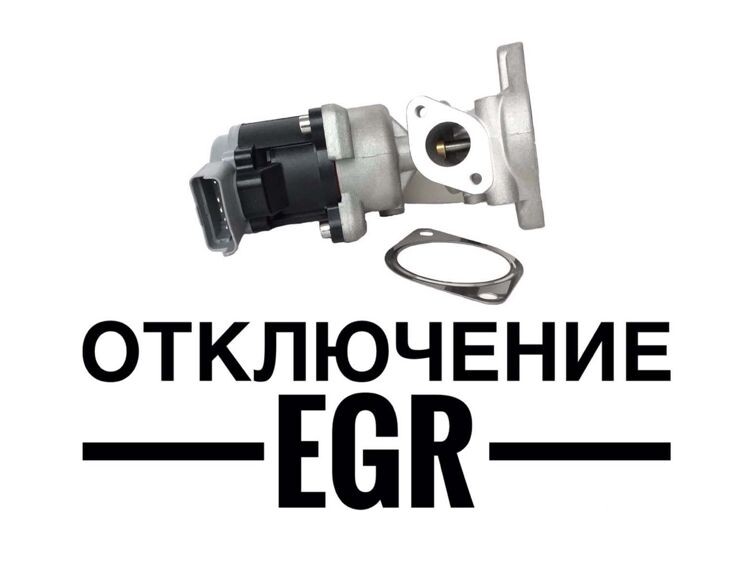 Отключение клапана ЕГР в ТракСистемс