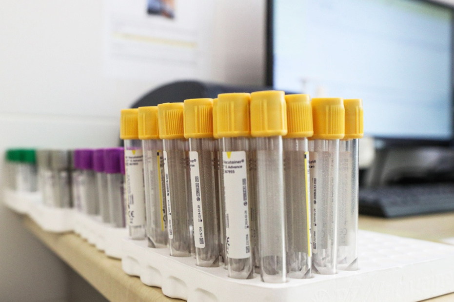    Сергей Булкин/NEWS.ru