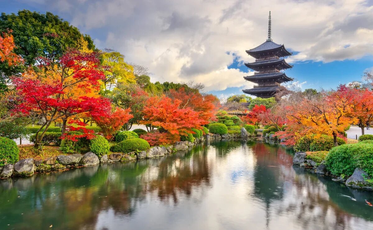    Охота на момидзи: сколько стоят туры в Японию на сезон красных кленов